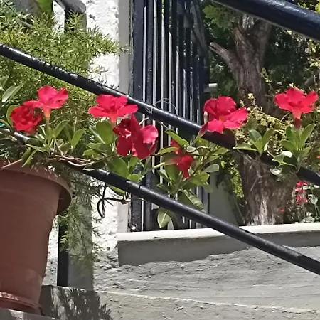 Charming Garden * עיר רודוס