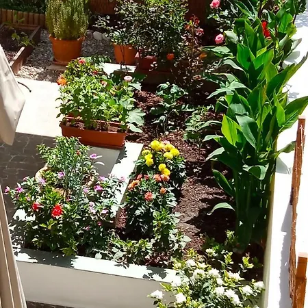 Charming Garden Rhodes City