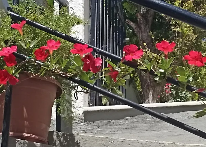 Charming Garden * Rhodes City